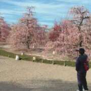 ヒメ日記 2026/03/10 10:00 投稿 RISA講師 Ｓ＆Ｍ極嬢