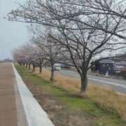 ヒメ日記 2026/03/28 22:50 投稿 RISA講師 Ｓ＆Ｍ極嬢