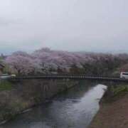 ヒメ日記 2026/03/31 21:50 投稿 RISA講師 Ｓ＆Ｍ極嬢