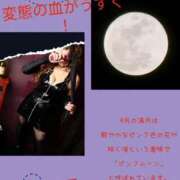 ヒメ日記 2026/04/02 22:10 投稿 RISA講師 Ｓ＆Ｍ極嬢