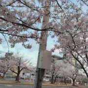 ヒメ日記 2026/04/05 22:31 投稿 RISA講師 Ｓ＆Ｍ極嬢