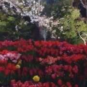 ヒメ日記 2026/04/07 16:40 投稿 RISA講師 Ｓ＆Ｍ極嬢