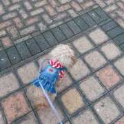 ヒメ日記 2025/04/04 19:05 投稿 ゆり 横浜パフパフチェリーパイ