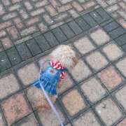 ヒメ日記 2025/04/04 19:13 投稿 ゆり 横浜パフパフチェリーパイ