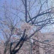 ヒメ日記 2026/03/30 21:13 投稿 ゆり 横浜パフパフチェリーパイ