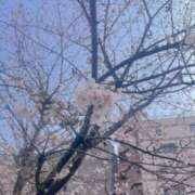 ヒメ日記 2026/03/30 21:22 投稿 ゆり 横浜パフパフチェリーパイ