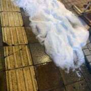 ヒメ日記 2025/03/20 09:09 投稿 あみ 奥様プリモ