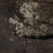 ヒメ日記 2025/04/04 10:09 投稿 あみ 奥様プリモ