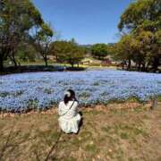 ヒメ日記 2025/05/04 06:18 投稿 ☆ひな(21)☆ ◆プラウディア◆AAA級素人娘在籍店