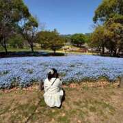 ヒメ日記 2025/05/16 13:43 投稿 ☆ひな(21)☆ ◆プラウディア◆AAA級素人娘在籍店