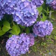 ヒメ日記 2025/06/12 16:52 投稿 ☆ひな(21)☆ ◆プラウディア◆AAA級素人娘在籍店