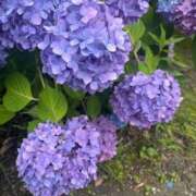 ヒメ日記 2025/06/12 19:19 投稿 ☆ひな(21)☆ ◆プラウディア◆AAA級素人娘在籍店