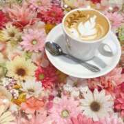 ヒメ日記 2026/02/18 12:39 投稿 なつみ アバンチュール（難波）