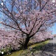 ヒメ日記 2025/04/06 10:33 投稿 おりえ モアグループ南越谷人妻花壇