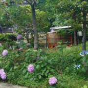 ヒメ日記 2026/06/12 12:29 投稿 ふじよ 完熟ばなな川崎