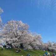 ヒメ日記 2024/05/08 09:12 投稿 葵ちか 奴隷志願！変態調教飼育クラブ梅田店