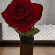 ヒメ日記 2026/01/24 13:00 投稿 亜紀(あき) エッチな熟女(広島)