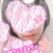 ヒメ日記 2025/03/16 08:30 投稿 我妻るい(わがつまるい) 五十路マダムエクスプレス厚木店(カサブランカグループ)