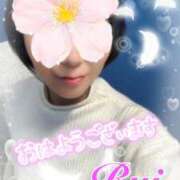 ヒメ日記 2025/03/24 09:32 投稿 我妻るい(わがつまるい) 五十路マダムエクスプレス厚木店(カサブランカグループ)