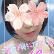 ヒメ日記 2025/04/06 09:38 投稿 我妻るい(わがつまるい) 五十路マダムエクスプレス厚木店(カサブランカグループ)