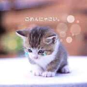 ヒメ日記 2025/10/05 08:00 投稿 我妻るい(わがつまるい) 五十路マダムエクスプレス厚木店(カサブランカグループ)