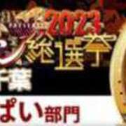 ヒメ日記 2023/11/10 14:35 投稿 ねね ふじ