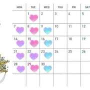 ヒメ日記 2025/03/31 00:11 投稿 弘中　あや NADIA神戸店