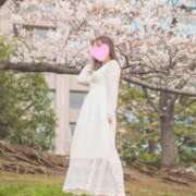 ヒメ日記 2025/03/14 15:00 投稿 るりか Sakura Spa