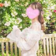 ヒメ日記 2025/03/15 08:00 投稿 るりか Sakura Spa