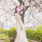 ヒメ日記 2025/03/24 18:10 投稿 るりか Sakura Spa