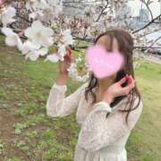 ヒメ日記 2025/03/26 08:00 投稿 るりか Sakura Spa