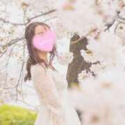 ヒメ日記 2025/04/01 07:50 投稿 るりか Sakura Spa