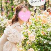 ヒメ日記 2025/04/03 07:50 投稿 るりか Sakura Spa