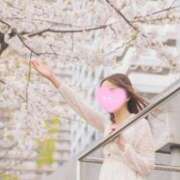 ヒメ日記 2025/04/06 23:50 投稿 るりか Sakura Spa