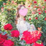 ヒメ日記 2025/04/18 20:50 投稿 るりか Sakura Spa