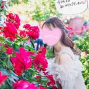 ヒメ日記 2025/04/27 18:31 投稿 るりか Sakura Spa