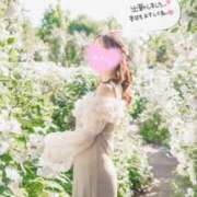 ヒメ日記 2025/05/15 07:50 投稿 るりか Sakura Spa