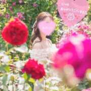 ヒメ日記 2025/06/05 18:20 投稿 るりか Sakura Spa