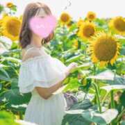 ヒメ日記 2025/07/06 07:50 投稿 るりか Sakura Spa