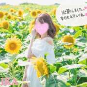 ヒメ日記 2025/08/03 08:00 投稿 るりか Sakura Spa