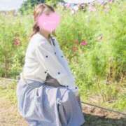 ヒメ日記 2025/09/01 17:31 投稿 るりか Sakura Spa