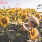 ヒメ日記 2025/09/14 08:00 投稿 るりか Sakura Spa