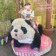 ヒメ日記 2025/10/09 01:20 投稿 るりか Sakura Spa