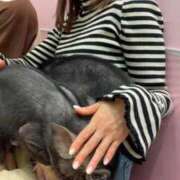 ヒメ日記 2025/11/10 12:50 投稿 るりか Sakura Spa