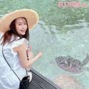 ヒメ日記 2026/01/28 08:07 投稿 るりか Sakura Spa