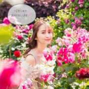 ヒメ日記 2026/03/09 08:00 投稿 るりか Sakura Spa