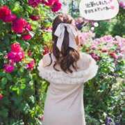 ヒメ日記 2026/03/20 07:50 投稿 るりか Sakura Spa