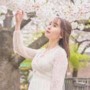 ヒメ日記 2026/03/24 13:57 投稿 るりか Sakura Spa