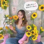 ヒメ日記 2026/07/27 08:50 投稿 るりか Sakura Spa