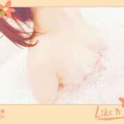 ヒメ日記 2025/02/08 12:00 投稿 花咲結依 こあくまな熟女たち 本厚木店(KOAKUMAグループ)